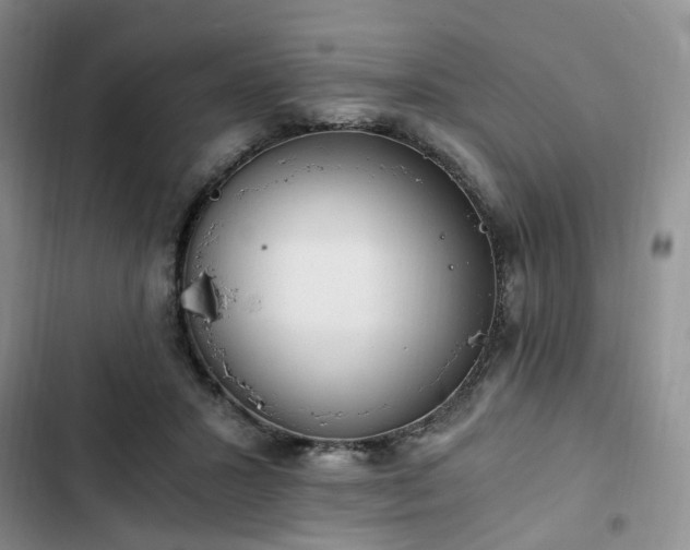 X0000102760407200808251033