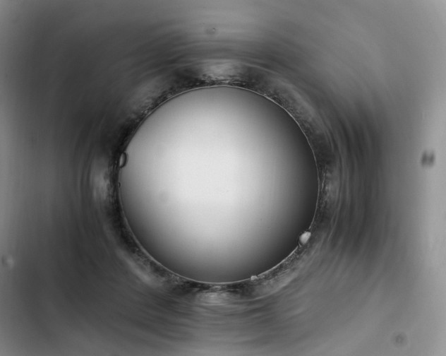 X0000102760408200808251033