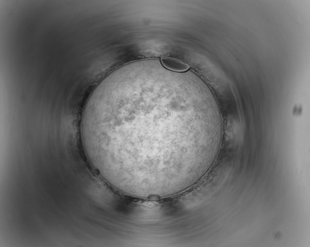 X0000102760409200808251033