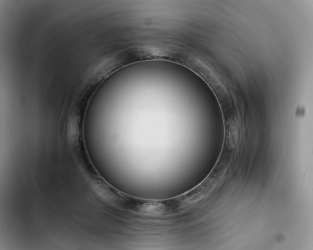 X0000102760410200808251033