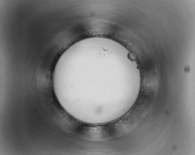 X0000102760411200808251033