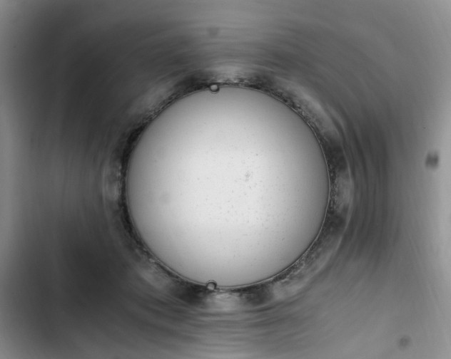 X0000102760413200808251033