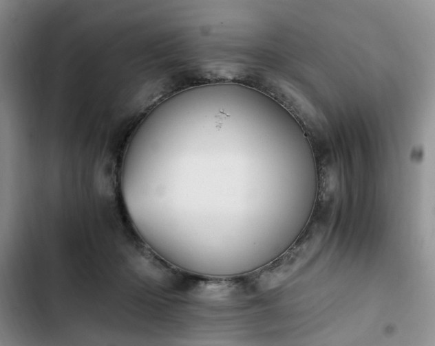 X0000102760414200808251033