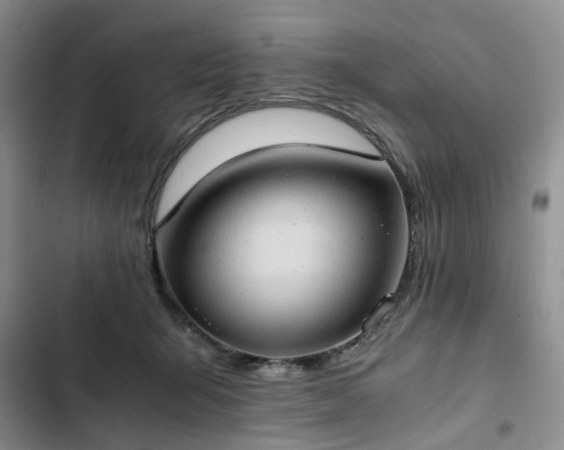 X0000102760415200808251033