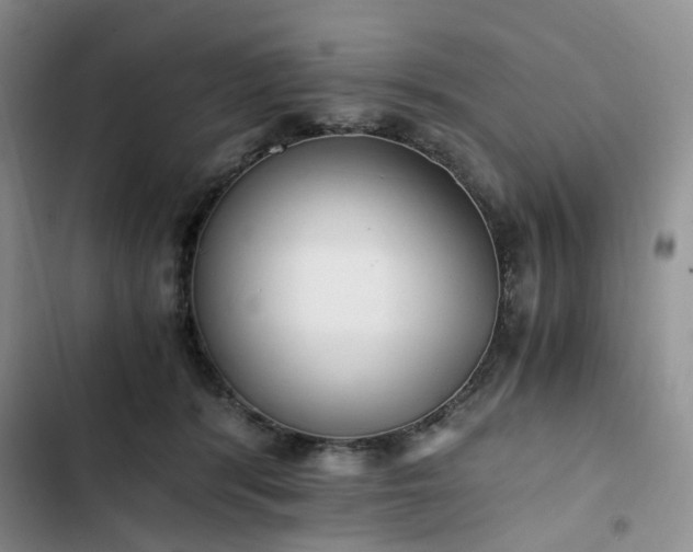 X0000102760416200808251033