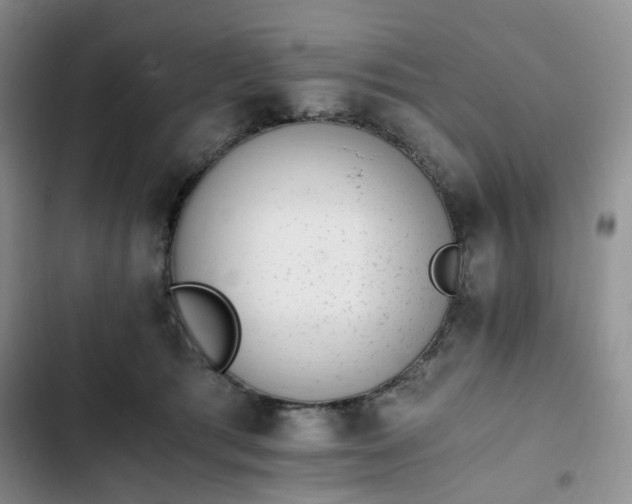 X0000102760417200808251033