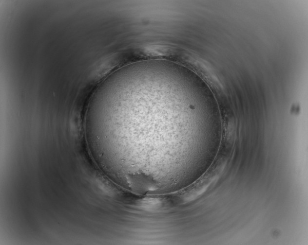 X0000102760418200808251033