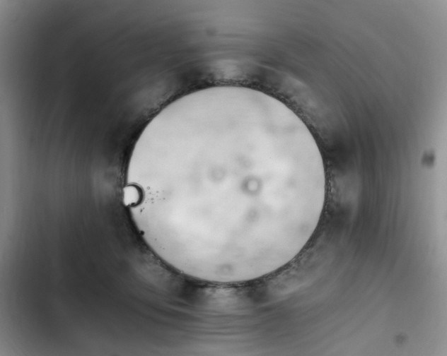 X0000102760419200808251033