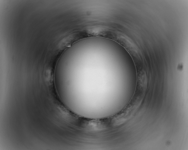 X0000102760420200808251033