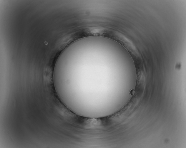 X0000102760421200808251033