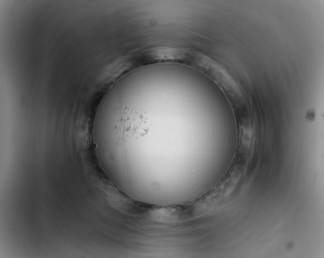 X0000102760422200808251033