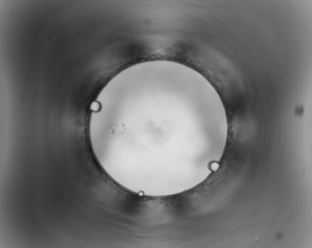 X0000102760423200808251033