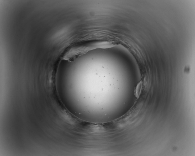 X0000102760424200808251033