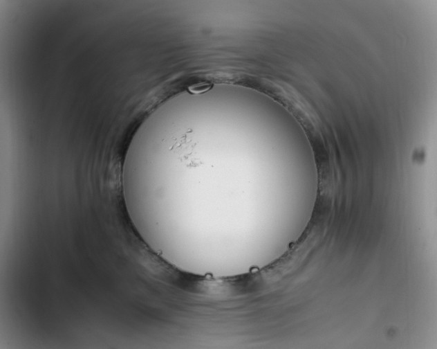 X0000102760425200808251033