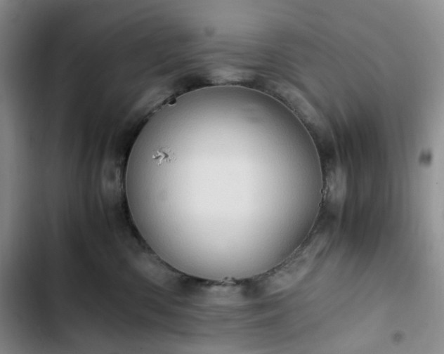 X0000102760426200808251033