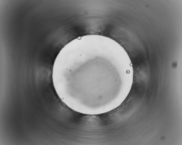 X0000102760427200808251033