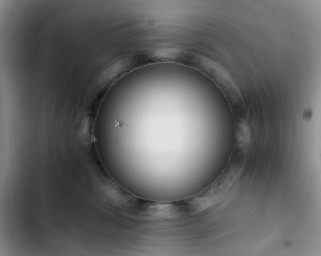 X0000102760428200808251033