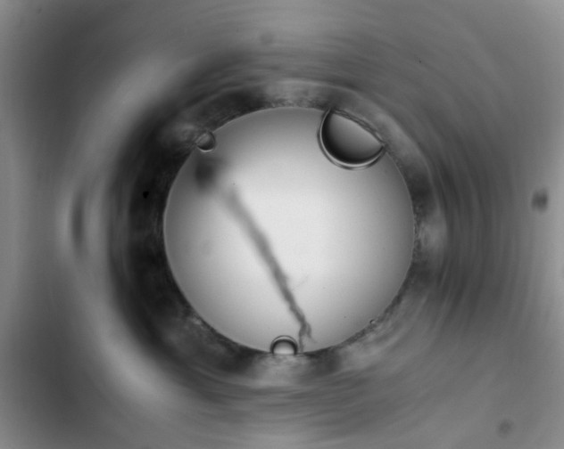 X0000102760429200808251033