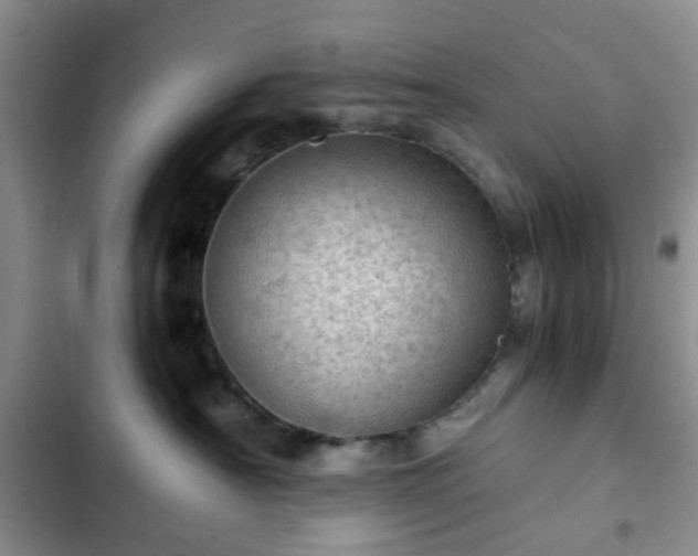 X0000102760430200808251033