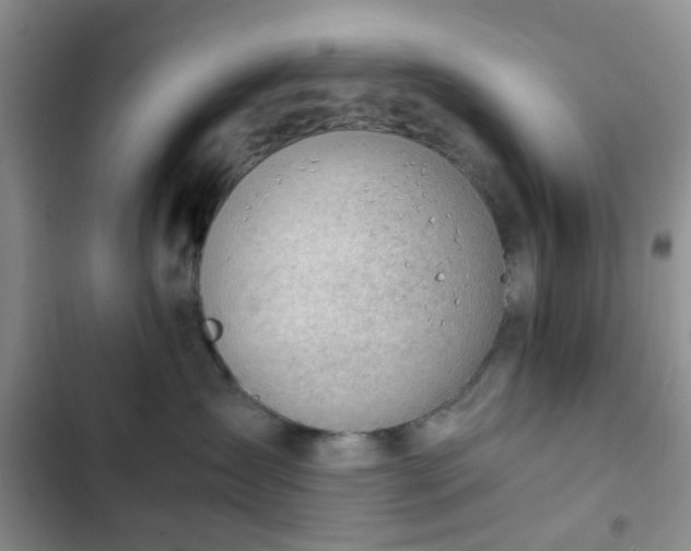 X0000102760431200808251033