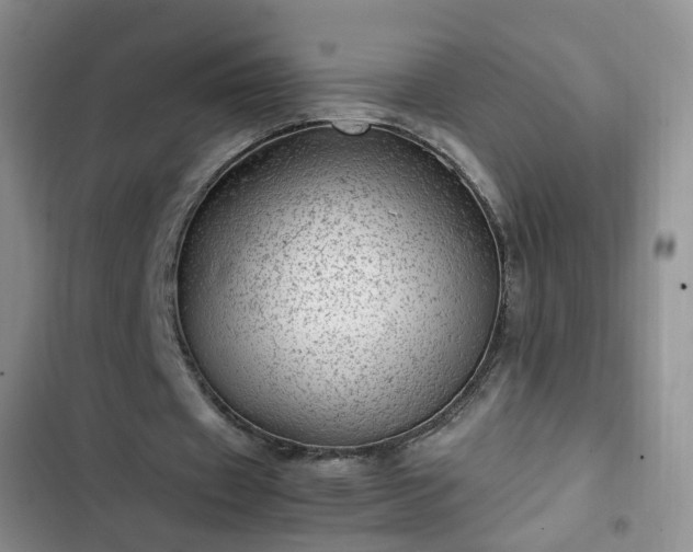 X0000102760433200808251032