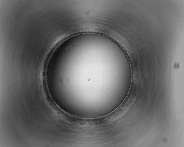 X0000102760434200808251032