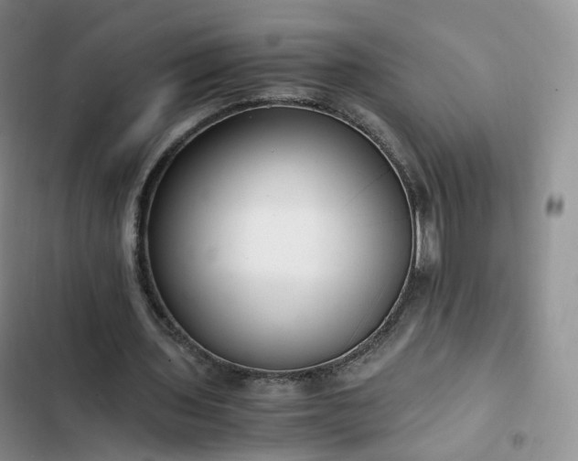 X0000102760435200808251032