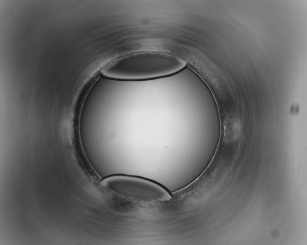 X0000102760436200808251032