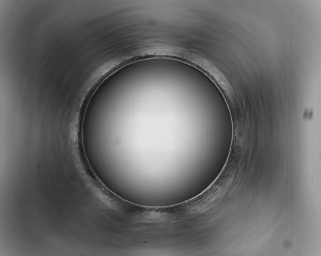 X0000102760437200808251032