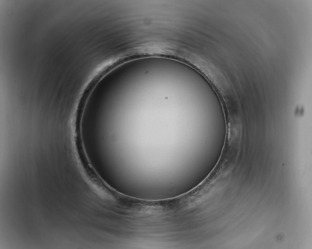 X0000102760438200808251032