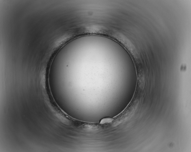 X0000102760442200808251032