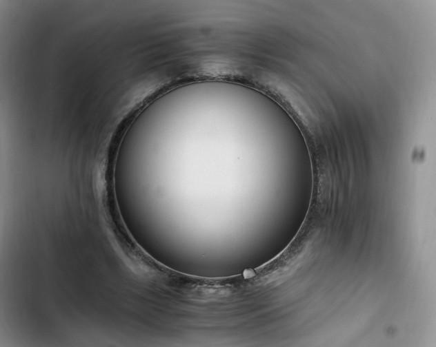 X0000102760443200808251032