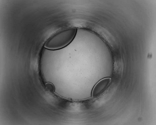 X0000102760444200808251032