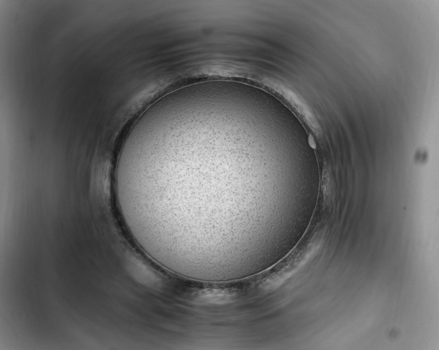 X0000102760445200808251032