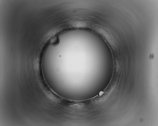 X0000102760447200808251032