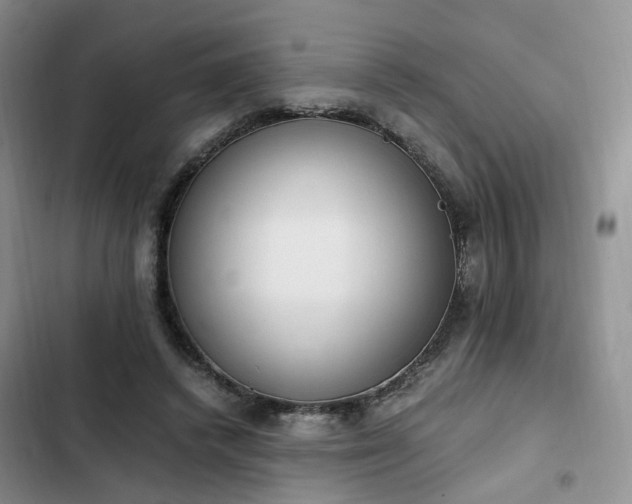 X0000102760448200808251032