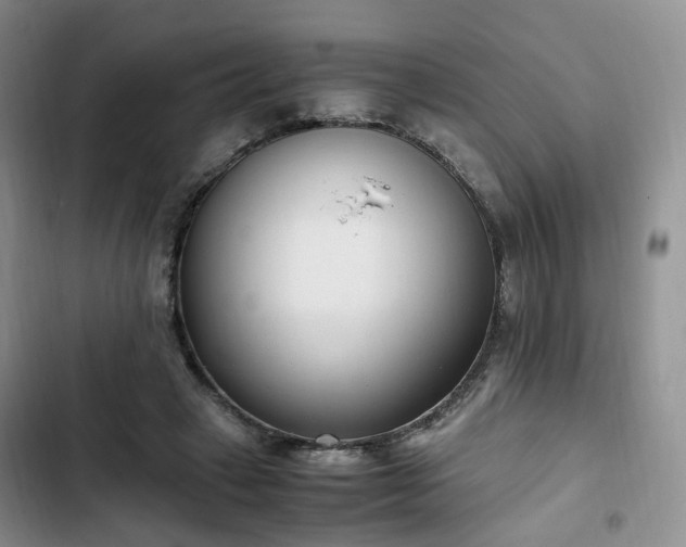 X0000102760449200808251032