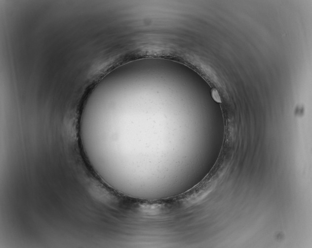 X0000102760450200808251032