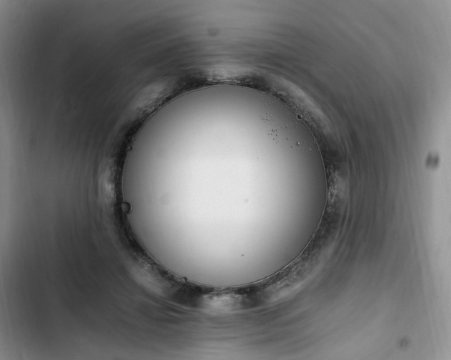 X0000102760452200808251032