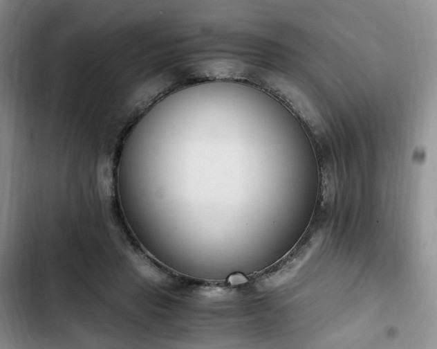 X0000102760453200808251032