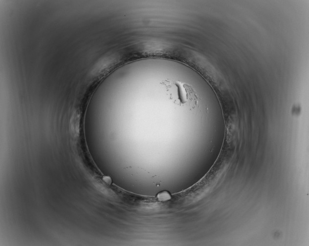 X0000102760454200808251032