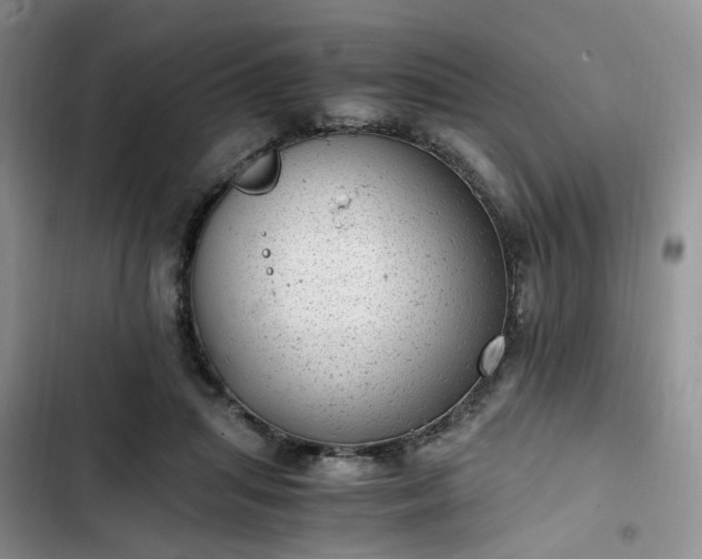 X0000102760455200808251032