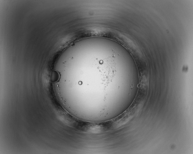 X0000102760456200808251032