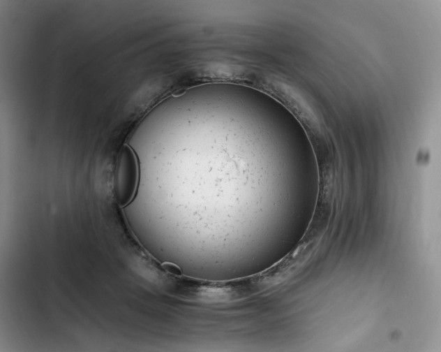 X0000102760457200808251032