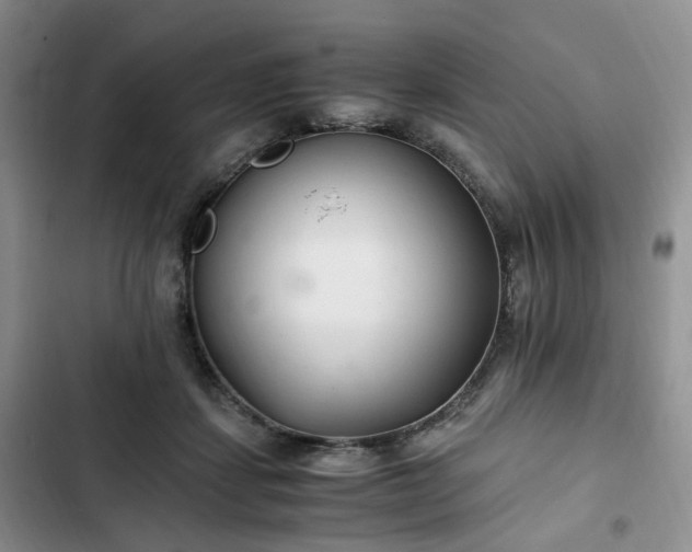 X0000102760459200808251032