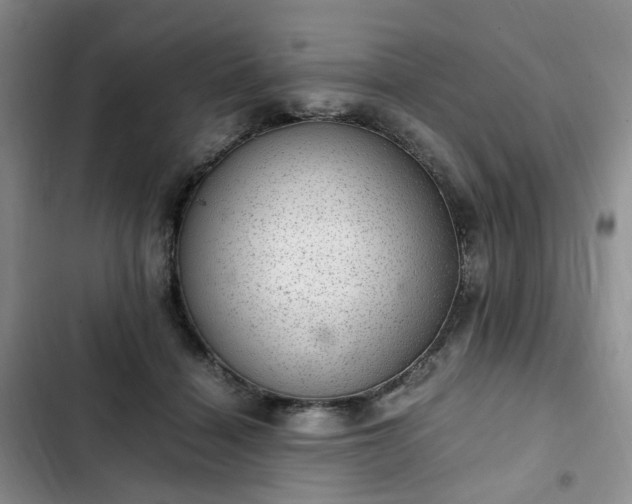 X0000102760460200808251032