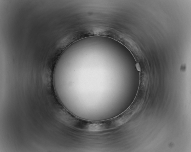 X0000102760461200808251032