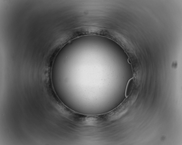 X0000102760462200808251032