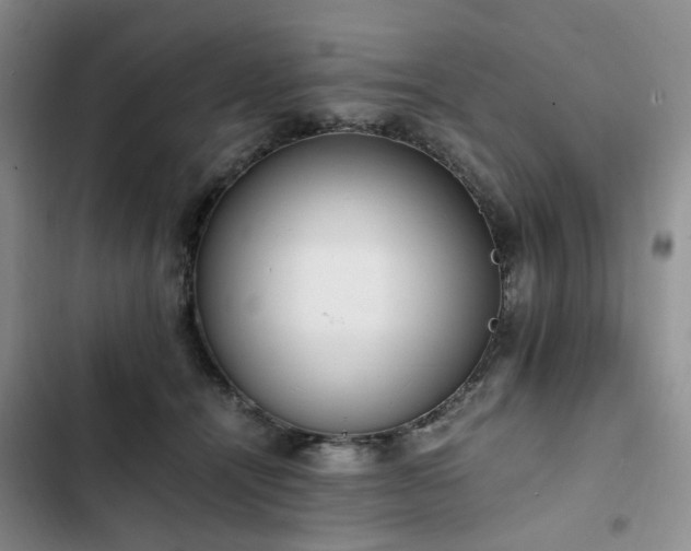 X0000102760464200808251032