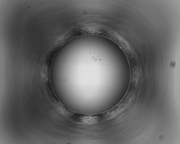 X0000102760465200808251032